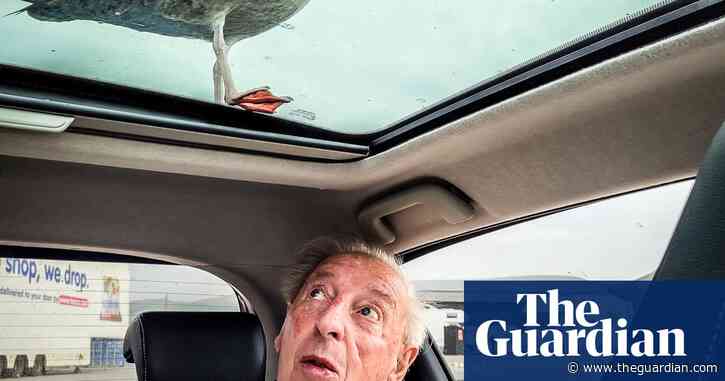 ‘A lovely opportunity to capture a funny moment’: Lorraine Poole’s best phone picture