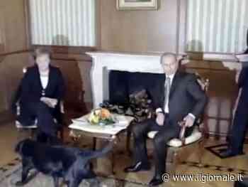 Quel “cucciolone” di Putin, addio all’Ape Piaggio e Valerio: quindi, oggi…