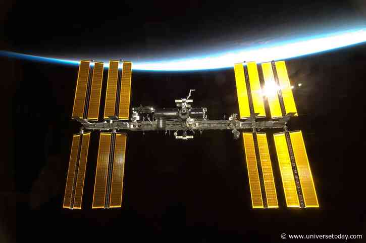 Stem Cells Grown in Space Could Revolutionize Medicine Here on Earth