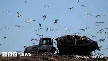 Lockdown DIY linked to landfill's noxious gases