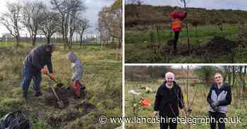 Accrington residents transform park by planting 35 'Family Trees'
