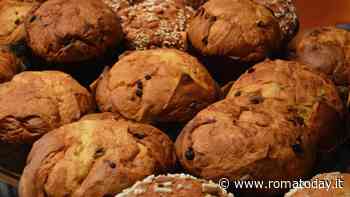 I migliori panettoni prodotti a Roma per il 2024: il test alla cieca di CiboToday