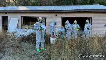 Trump's tariff threat throws a spotlight on the whack-a-mole trade in drug precursors