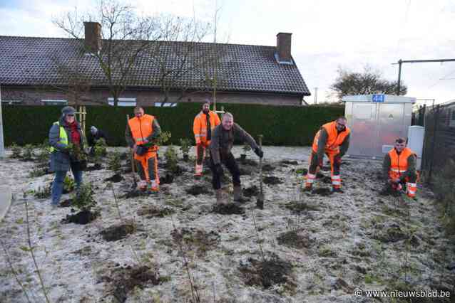 Hauwerpark uitgebreid met bijna 8.500 bloemen, planten en bomen