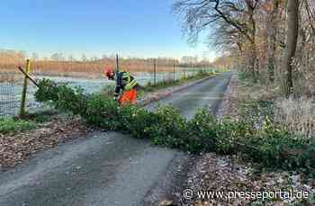FW Hünxe: Baum blockierte Straße