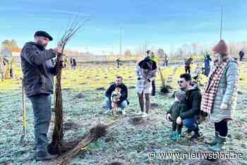 Honderd ouders en hun kinderen planten derde geboortebos in Genk: “Kinderen laten opgroeien in groene wereld”