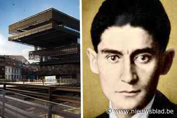 Deze bibliotheek doet je (letterlijk) van het kastje naar de muur lopen: kafkaësk pretpark opent de deuren voor één dag