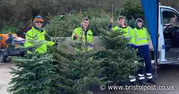 St Peter’s Hospice’s Christmas tree recycling returns for 2025
