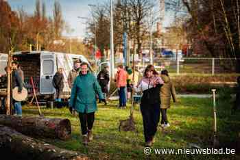 Buurtbewoners planten veertien fruitbomen aan in SteenWegPark: “De James Grieve, Winterbanana en Josephine de Malines”