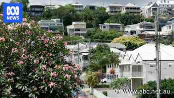 'A strain on households': Property market continues to lose steam and house price falls are expected for 2025
