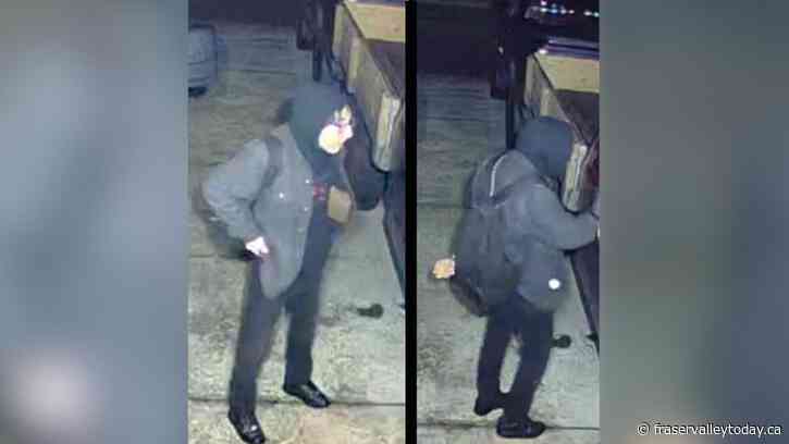 RCMP seek suspect after overnight spree damages several vehicles in Mission