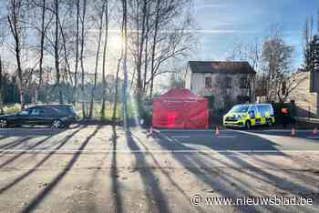 Man dood aangetroffen in bestelwagen in Zonhoven: natuurlijk overlijden