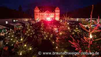 Salzgitters Hotspot für Kultur, Kunst, Familien: Schloss Salder