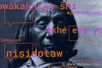 How Indigenous engineers are using AI to preserve their culture