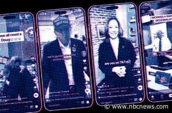 These politicians supported a TikTok ban, but still used the app to win their elections