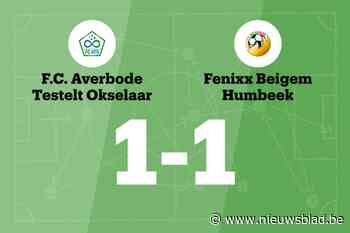 FC Averbode-Okselaar speelt gelijk tegen Fenixx Beigem Humbeek