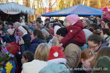 Hunderte Besucher beim Weihnachtsmarkt am Schloss