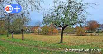 Planungsstand vorgestellt: Freifläche am Grönhorst in Meimersdorf soll endlich sinnvoll genutzt werden