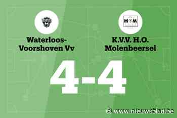 WAVO en Molenbeersel eindigt op 4-4