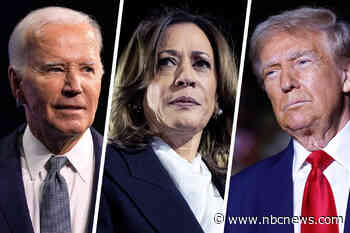 What the 2024 polls got right — and what they got wrong