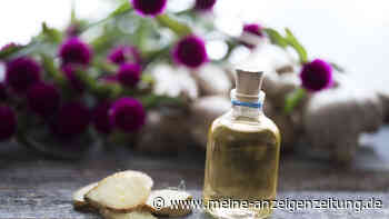 Selbstgemachtes Ingweröl: Einfache Herstellung und gesundheitliche Vorteile