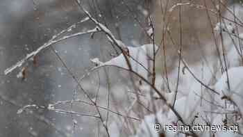 Temperature records broken, tied following latest snowfall in Saskatchewan