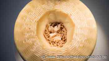 Nur illegal zu kaufen: Das ist der gefährlichste Käse der Welt