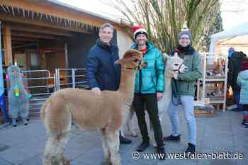 Zweiter Glühpaka-Markt in Vlotho begeistert