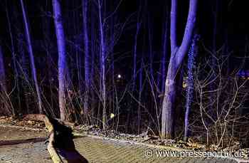 FW-Schermbeck: Umgestürzter Baum