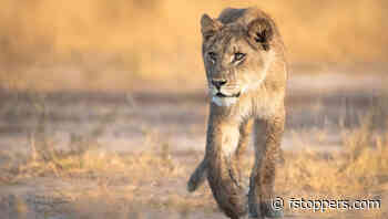 Five Lesser-Known Reasons Your Photos Aren’t Sharp