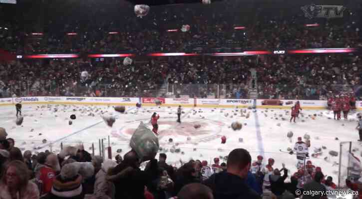 Fur flies at Hitmen Teddy Bear Toss