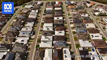 Market operator says emergency powers needed to switch off panels as solar tsunami 'threatens wipeout'