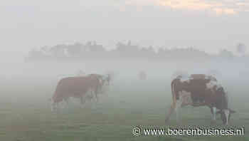 Minder mest is ook minder melk, maar hoeveel dan?