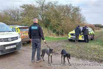 Dogs seized after police catch men hare coursing and damaging field in Cambs
