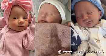 Let’s say hello to the new arrivals in Wirral in November 2024