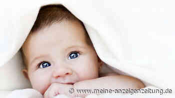 Türchen 1: 50 Euro-Gutschein für happybaby