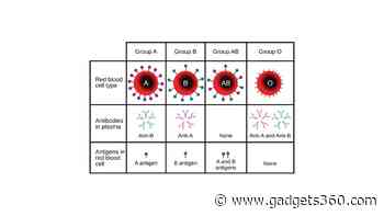 Understanding Blood Types: Rare Groups Beyond ABO and Rh Factor Explained