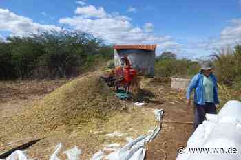 Brasiliens Kleinbauern den Rücken stärken