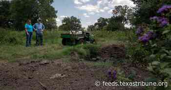 Texas farmers say sewage-based fertilizer tainted with “forever chemicals” poisoned their land and killed their livestock