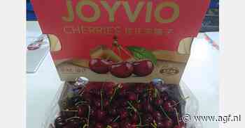 "Enorm veel vraag naar Chileense kersen in China"