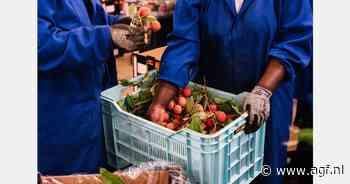 "Zenuwslopende start van Zuid-Afrika's lycheeseizoen