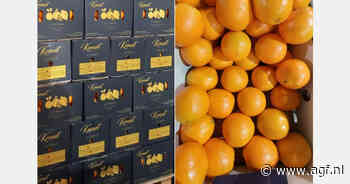 "We verwachten een oplossing voor de Rode Zee-crisis met de verkiezing van Donald Trump"