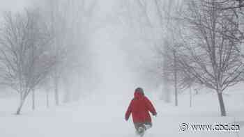 Intense Ontario snow strands vehicles, knocks out power as town calls emergency