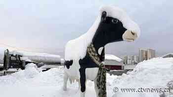 Heavy snow and numbing temperatures keep parts of the U.S. in a deep freeze