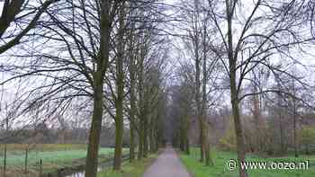 ‘Groener’ Waddinxveen in 2050