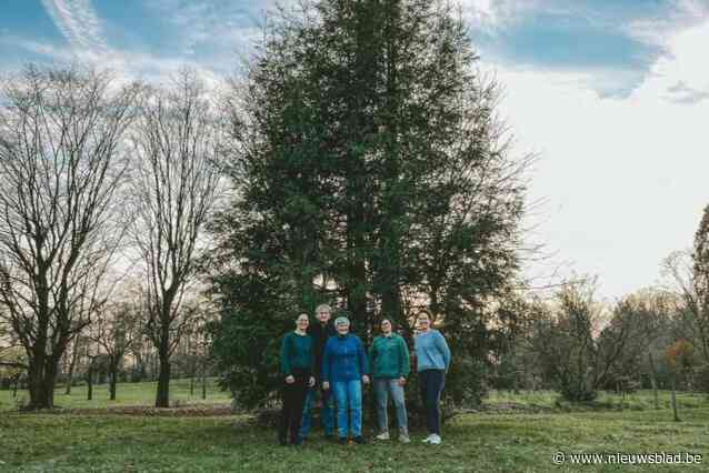 Familie Van Gorp organiseert echte Duitse kerstmarkt met echte Duitse glühwein: “Waarom nog naar Aken rijden?”