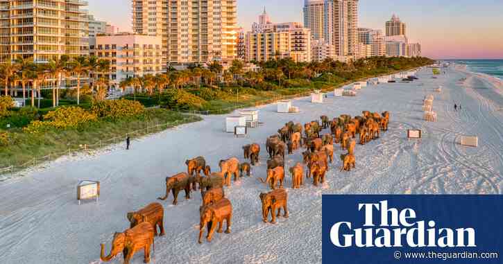 ‘Ground zero for climate change’: the shoreline sculpture park coming to Miami