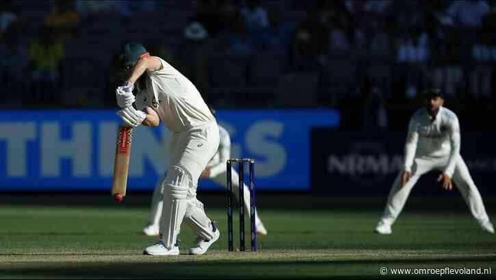 Almere - Cricketers willen fatsoenlijk veld in Almere: 'Ik moet nu vier keer per week naar Amsterdam'