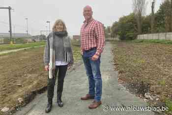 Op Van Gogh-pleintje komen natuur en geschiedenis samen