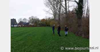 Land van Ons koopt grond in Hummelo